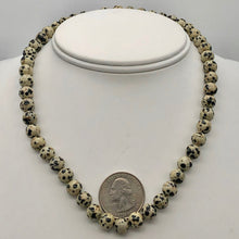 Load image into Gallery viewer, Spots Dalmatian Jasper 8mm Round Bead Strand 109420 - PremiumBead Alternate Image 3