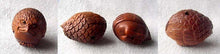 Load image into Gallery viewer, Chirp Carved & Signed Boxwood Baby Bird Ojime/Netsuke Bead - PremiumBead Alternate Image 2