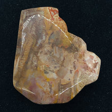 Load image into Gallery viewer, Fossilized Wood Irregular Flat Briolette | 41x36x7mm | Brown/White | 1 Pendant Bead