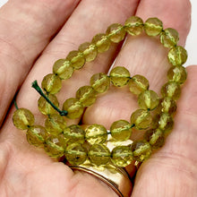 Load image into Gallery viewer, Amber Faceted Round Beads | 6mm | Green | 11 Bead(s)