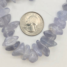 Load image into Gallery viewer, Oregon Holley Blue Chalcedony Agate Nugget Bead Strand - PremiumBead Alternate Image 10