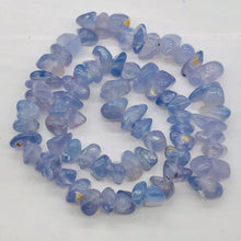 Load image into Gallery viewer, Oregon Holly Blue Chalcedony Agate 71 Grams Nugget| 10X9X5 15X9X8 |Blue|69 Bead|
