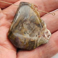 Load image into Gallery viewer, Fossilized Wood Irregular Flat Briolette | 41x36x7mm | Brown/White | 1 Pendant Bead
