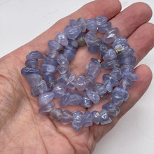 Load image into Gallery viewer, Oregon Holly Blue Chalcedony Agate 66g Nuggets | 13X10X7 15X8X8 | Blue | 64 Bead