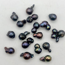 Load image into Gallery viewer, Magnificent!! 2 one of a kind Black Peacock Fireball FW Pearl - PremiumBead Alternate Image 6