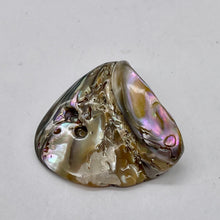 Load image into Gallery viewer, Abalone Hinge Shell | 1 Pendant Bead |