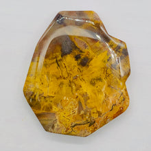 Load image into Gallery viewer, Fossilized Wood Irregular Flat Briolette | 52x43x7mm| Tan/Brown | 1 Pendant Bead