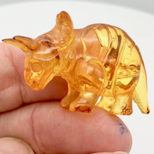 Load image into Gallery viewer, Amber Triceratops | 47x24x14 | Amber | 1 Figurine