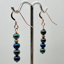 Load image into Gallery viewer, Shinning Teal Fresh Water Pearl 14K Rose Gold Filled Earrings | 1 3/8" long |