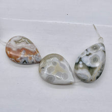 Load image into Gallery viewer, Ocean Jasper Graduated Round | 40x26 to 33x24x8 mm | Multi-color | 7 Beads |