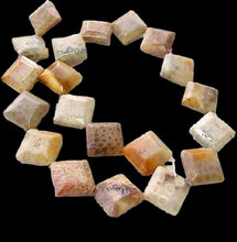 Load image into Gallery viewer, Premium 2 Fossilized Coral 15x15x6mm Diamond Beads 9007