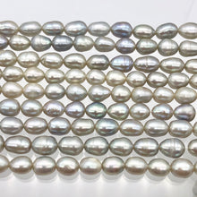 Load image into Gallery viewer, Silvery Platinum Freshwater Pearl Strand | 8x6-6.5x5mm | ~55 pearls | 110864
