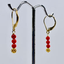 Load image into Gallery viewer, AAA Natural Ox Blood Red Coral Solid 14K Gold Earrings 302904C