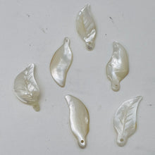 Load image into Gallery viewer, 6 Carved Mother of Pearl Shell Leaf Briolette Beads 10210