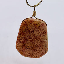 Load image into Gallery viewer, Fossilized Coral 14K Gold Filled Wire Wrap Pendant Pre-Cambrian Era | 1 5/8" |