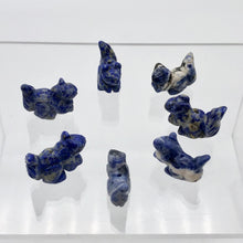 Load image into Gallery viewer, Nuts 2 Hand Carved Animal Sodalite Squirrel Beads | 22x15x10mm | Blue - PremiumBead Alternate Image 10