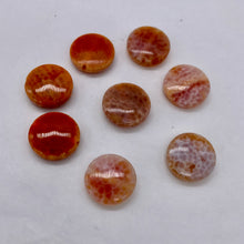 Load image into Gallery viewer, 2 Snakeskin/Crab Fire Agate Coin Focal Beads 8958