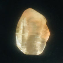 Load image into Gallery viewer, Fossilized Wood Irregular Flat Briolette| 47x40x7mm|Orange/Black| 1 Pendant Bead