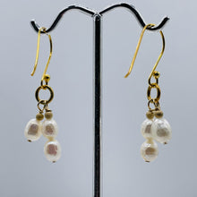 Load image into Gallery viewer, Stunning Faceted White Pearls with 14Kgf Earrings 300650