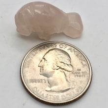 Load image into Gallery viewer, Grace 2 Carved Icy Rose Quartz Manatee Beads | 21x11x9mm | Pink - PremiumBead Alternate Image 11