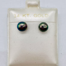 Load image into Gallery viewer, South Sea Black Pearl 14K Stud Earrings | 1/4 inch | Gold | 1 Pair |