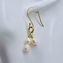 Load image into Gallery viewer, Stunning Faceted White Pearls with 14Kgf Earrings 300650