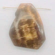 Load image into Gallery viewer, Cracked Fossilized Wood Flat Briolette | 48x40x7mm| Tan/Black| 1 Pendant Bead|