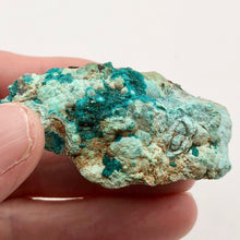 Load image into Gallery viewer, Stunning Dioptase on Chrysocolla Display Specimen 10670B - PremiumBead Alternate Image 7
