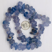 Load image into Gallery viewer, Oregon Holly Blue Chalcedony Agate 76 Grams Nugget Strand| 10x8 15X8 | 62 Bead |