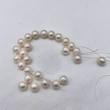 Load image into Gallery viewer, Natural Creamy Satin 8mm - 9mm Pearl 8 inch Strand 002639HS