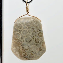 Load image into Gallery viewer, Fossilized Coral Sterling Silver Wire Wrap Pendant Pre-Cambrian Era | 2 5/8" |