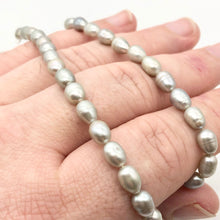 Load image into Gallery viewer, Silvery Platinum Freshwater Pearl Strand | 8x6-6.5x5mm | ~55 pearls | 110864
