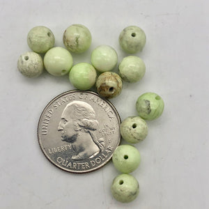 Rare! Lemon Chrysoprase 7.5 - 8mm Beads! - PremiumBead Alternate Image 5