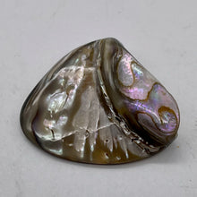 Load image into Gallery viewer, Abalone Hinge Shell | 1 Pendant Bead |