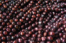 Load image into Gallery viewer, 12 Smoldering Burgundy Freshwater Pearls 8318 - PremiumBead Primary Image 1