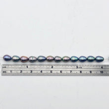 Load image into Gallery viewer, Lavender, Blue, Pink Peacock Satin 16" FW Pearl Strand, 10x6.5 to 8x6mm - PremiumBead Alternate Image 5