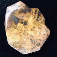 Load image into Gallery viewer, Fossilized Wood Irregular Flat Briolette | 52x43x7mm| Tan/Brown | 1 Pendant Bead