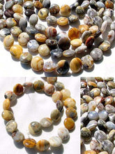 Load image into Gallery viewer, Intricate Crazy Lace Agate Coin Bead Strand 108969 - PremiumBead Alternate Image 3