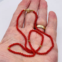 Load image into Gallery viewer, AAA Natural Ox Blood Red Coral & 14K Gold 18 inch Necklace 202904