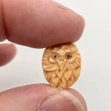 Load image into Gallery viewer, Pair of Wise Owl Carved Beads | 2 Beads | 16x13x5mm | 8625 - PremiumBead Alternate Image 7