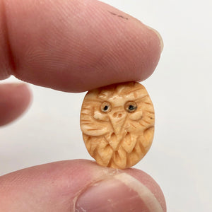 Pair of Wise Owl Carved Beads | 2 Beads | 16x13x5mm | 8625 - PremiumBead Alternate Image 7