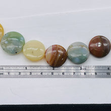 Load image into Gallery viewer, Ocean Jasper Graduated Round | 25x8 to 23x8 mm | Multi-color | 17 Beads