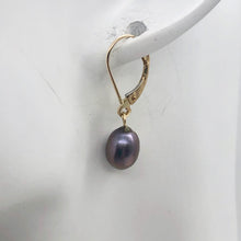 Load image into Gallery viewer, Rainbow Lavender Freshwater Pearl and 14K Drop Lever Back Earrings | 1 inch | - PremiumBead Alternate Image 5