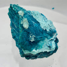 Load image into Gallery viewer, Chrysocolla Natural Crystal Display Specimen | 49x39x18mm |