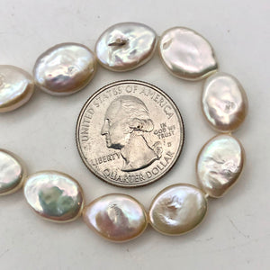 Oval/Teardrop 2 Creamy Freshwater Coin Pearls 4456 - PremiumBead Alternate Image 6