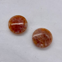Load image into Gallery viewer, 2 Snakeskin/Crab Fire Agate Coin Focal Beads 8958
