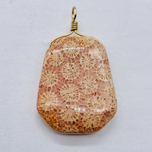 Load image into Gallery viewer, Fossilized Coral 14K Gold Filled Wire Wrap Pendant Pre-Cambrian Era | 1 5/8" |