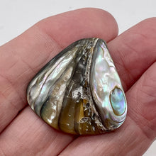 Load image into Gallery viewer, Abalone Hinge Shell | 33x37x10mm | Silver Pink | 1 Pendant Bead |