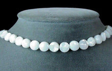 Load image into Gallery viewer, Mississippi Ebony (White) Shell 8x4mm Coin Bead Strand - PremiumBead Alternate Image 2