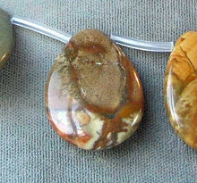Load image into Gallery viewer, Rare Owyhee Jasper Flat Briolette Bead Strand 106213 - PremiumBead Alternate Image 3